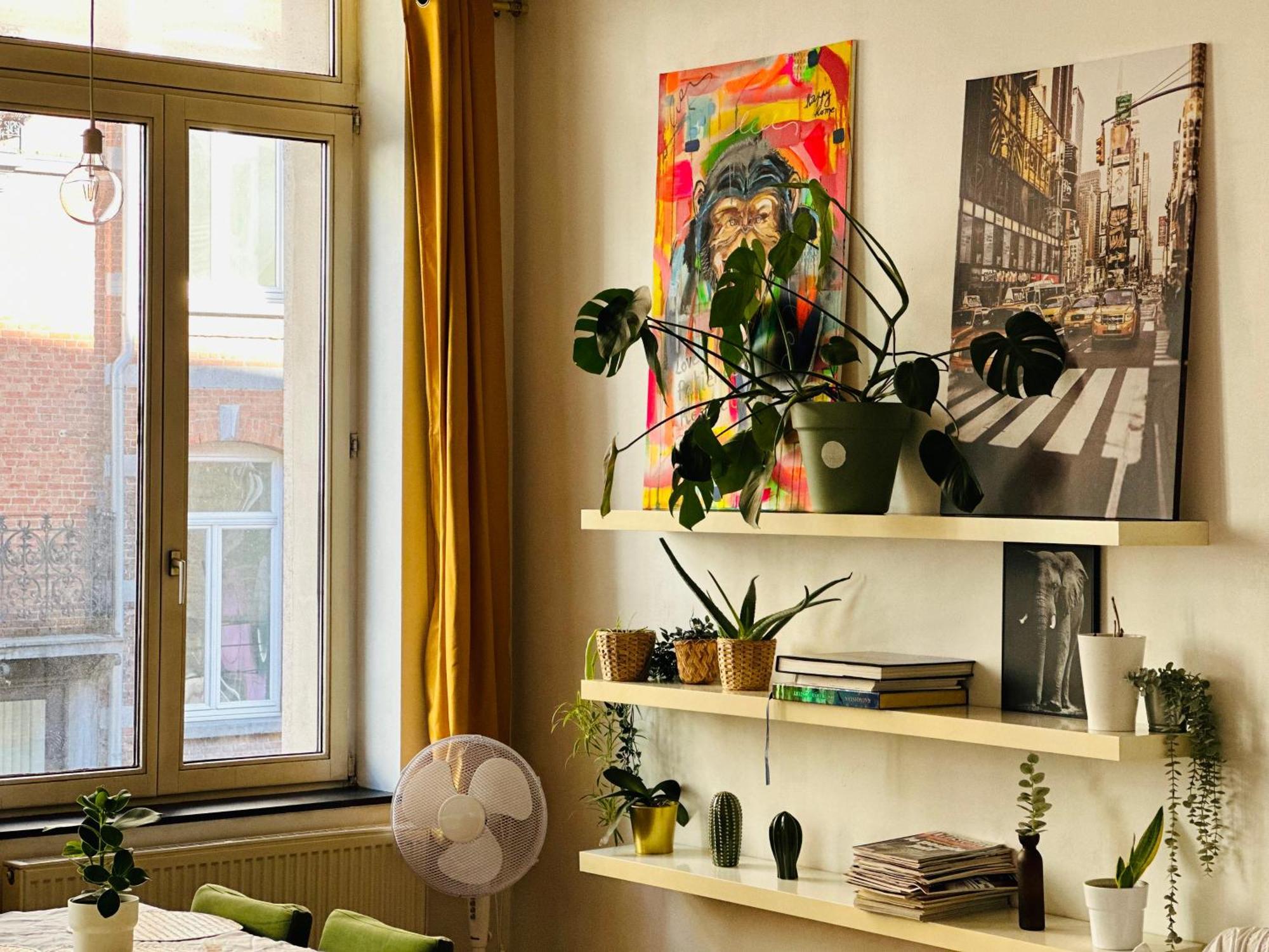 Down-Town 1 Bedroom Flat บรัสเซลส์ ภายนอก รูปภาพ